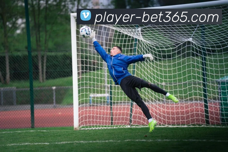 bet365平台生态图